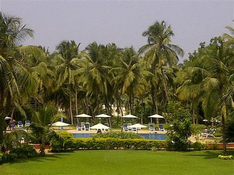 tripadvisor goa|Sea Breeze Majorda .